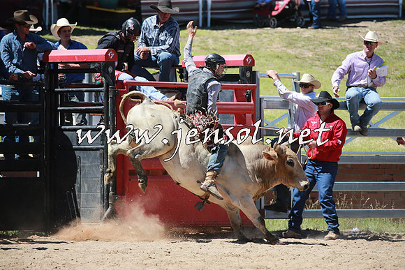 CoomaRodeo2016_0780
