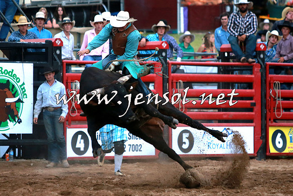 CoomaRodeo2016_3531