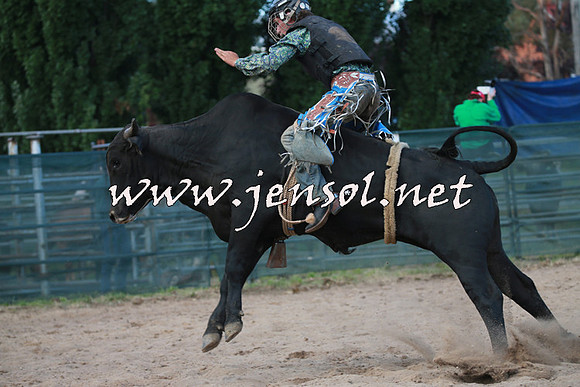 CoomaRodeo2016_2770