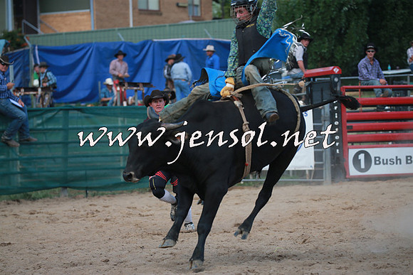 CoomaRodeo2016_2753