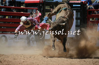 CoomaRodeo2016_0873