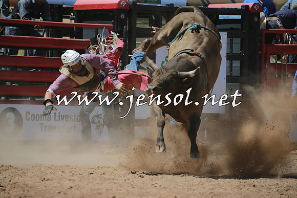 CoomaRodeo2016_0873