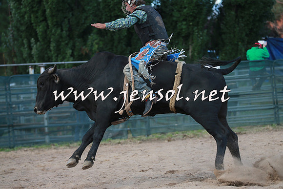 CoomaRodeo2016_2765