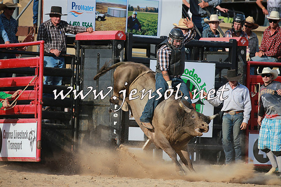 CoomaRodeo2016_2598