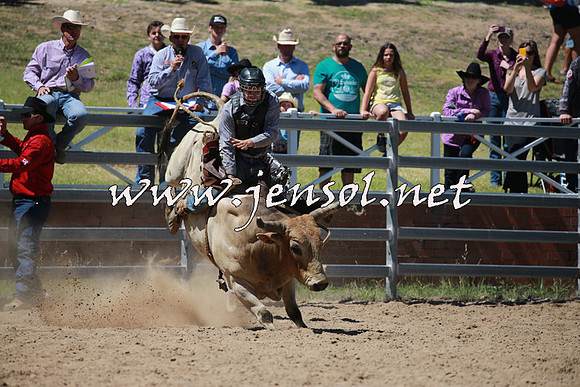 CoomaRodeo2016_0790