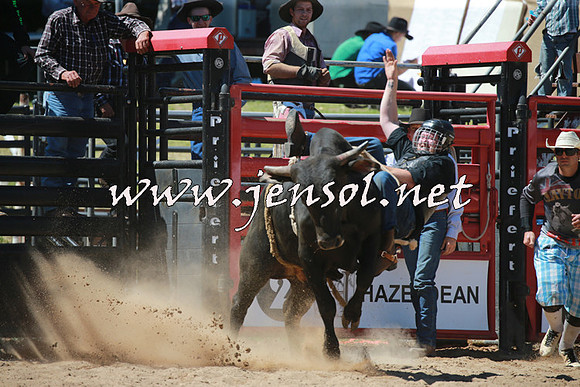CoomaRodeo2016_0899