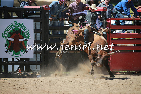 CoomaRodeo2016_1059