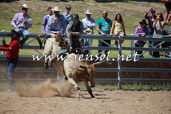 CoomaRodeo2016_0789