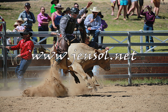 CoomaRodeo2016_0946