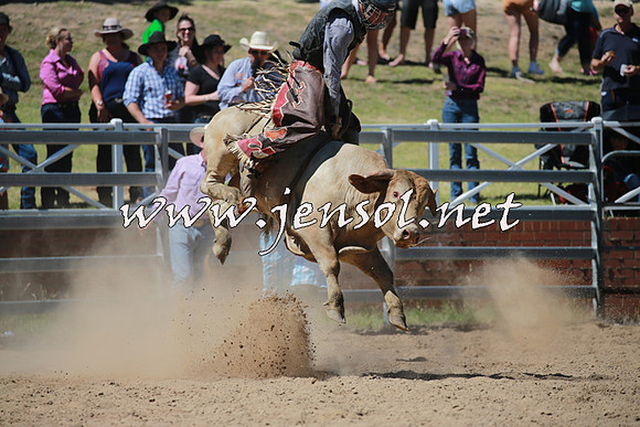 CoomaRodeo2016_0972