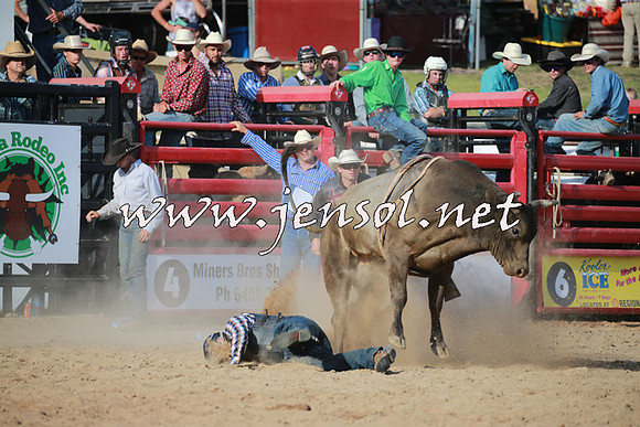 CoomaRodeo2016_2603