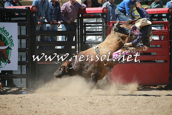 CoomaRodeo2016_1082