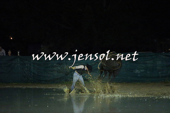 CoomaRodeo2015_3195