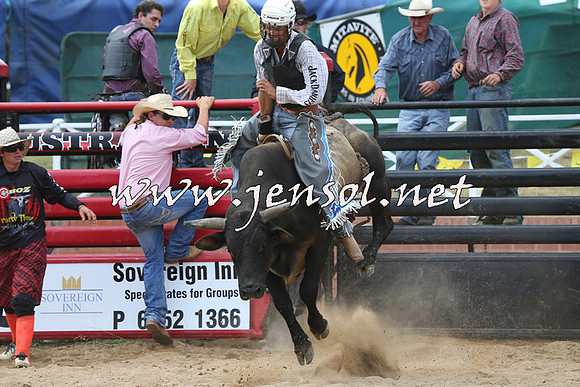 CoomaRodeo2015_1267
