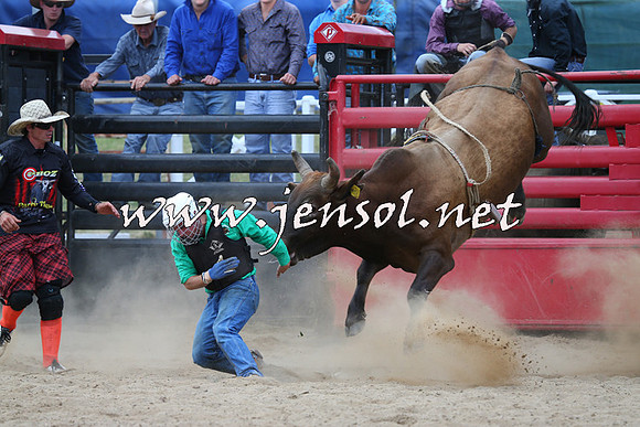 CoomaRodeo2015_1241