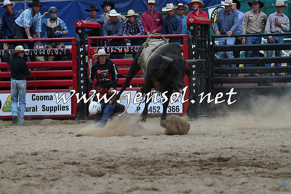 CoomaRodeo2015_2793
