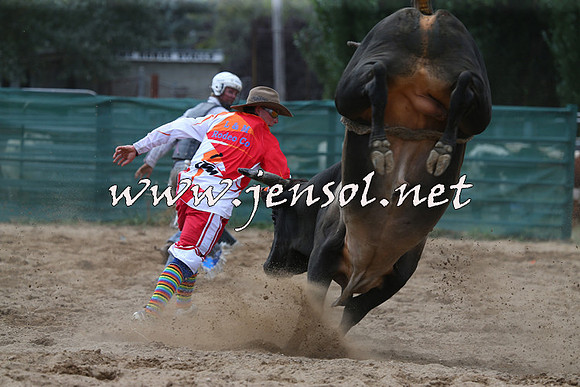 CoomaRodeo2015_1304