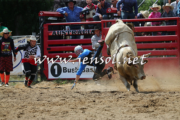 CoomaRodeo2015_1461