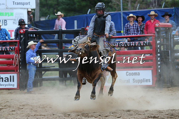 CoomaRodeo2015_2745