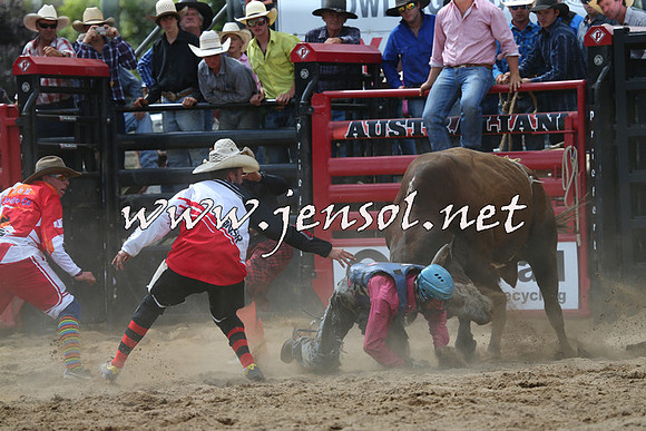 CoomaRodeo2015_1400