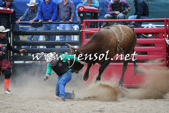 CoomaRodeo2015_1243