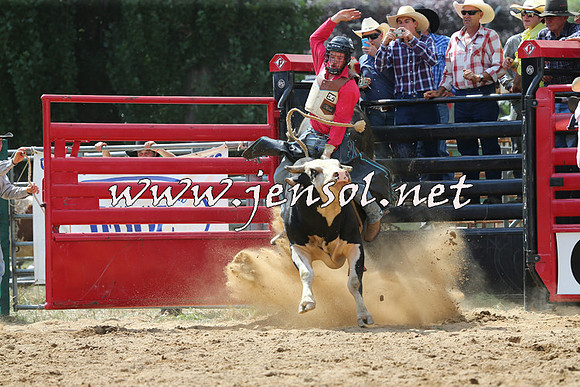 CoomaRodeo2015_1422