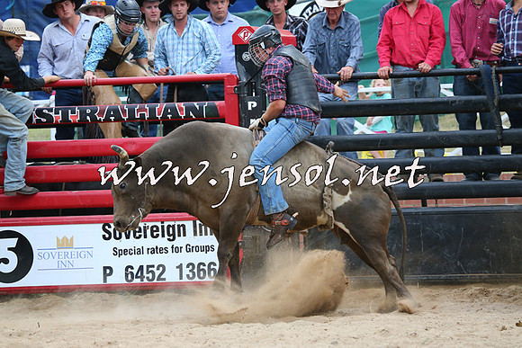 CoomaRodeo2015_2919