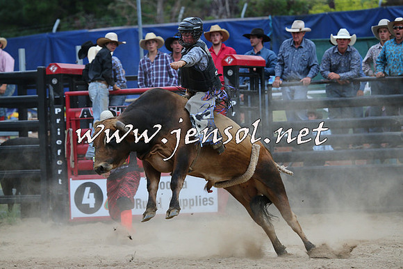 CoomaRodeo2015_2757