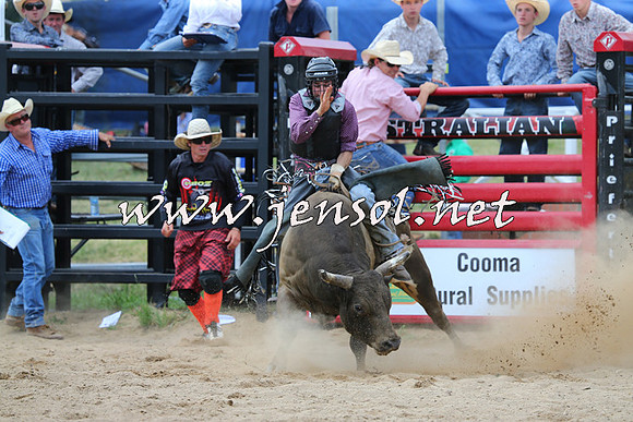 CoomaRodeo2015_1248