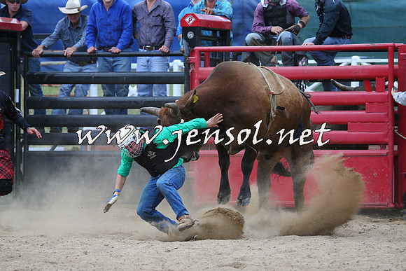 CoomaRodeo2015_1242