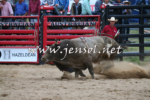 CoomaRodeo2015_2936
