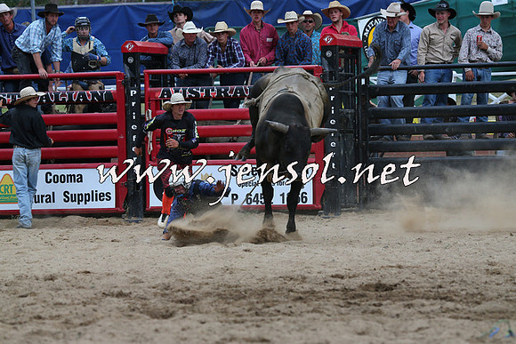 CoomaRodeo2015_2790