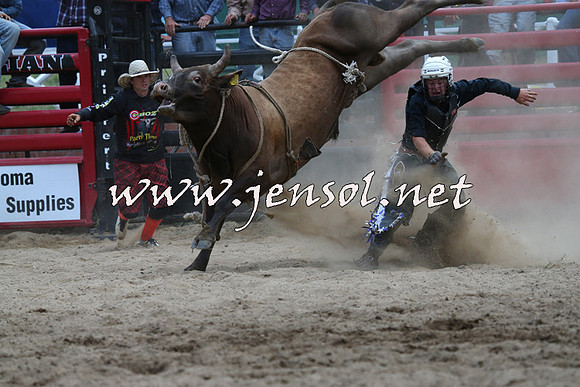 CoomaRodeo2015_3004