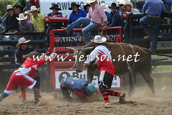 CoomaRodeo2015_1378