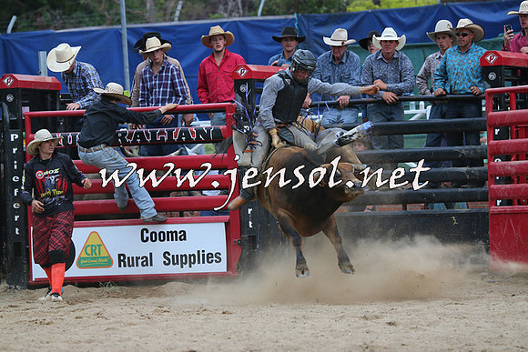 CoomaRodeo2015_2730