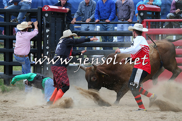CoomaRodeo2015_1235