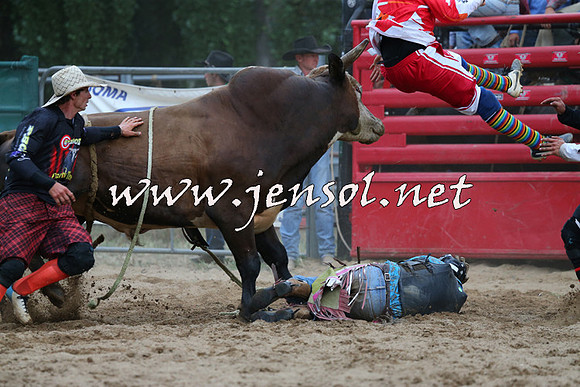 CoomaRodeo2015_2874