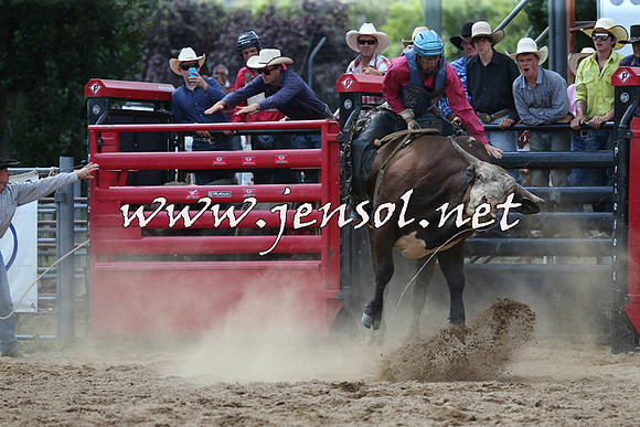 CoomaRodeo2015_1324