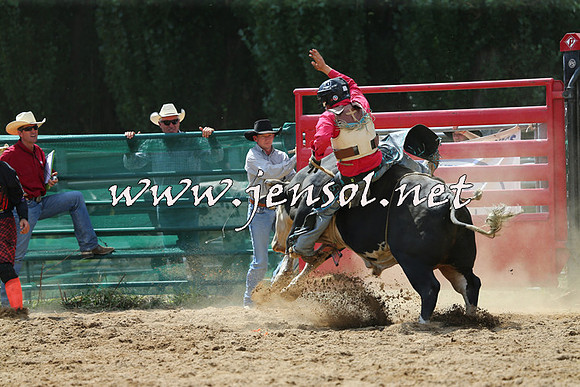 CoomaRodeo2015_1433