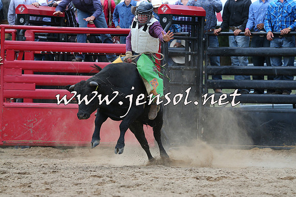 CoomaRodeo2015_1137