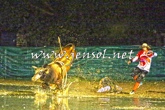 CoomaRodeo2015_3267