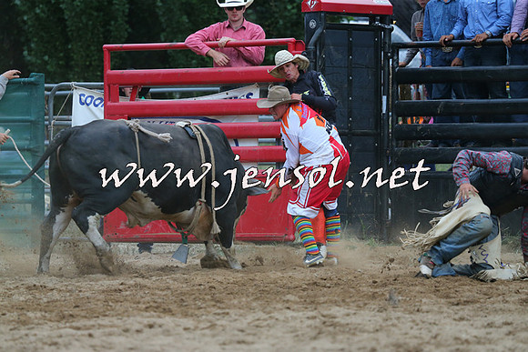CoomaRodeo2015_2911