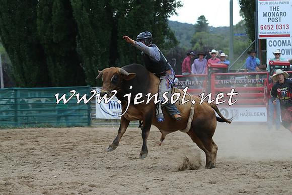 CoomaRodeo2015_2759