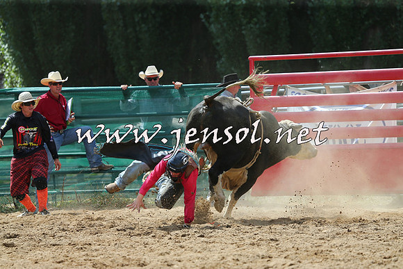 CoomaRodeo2015_1436