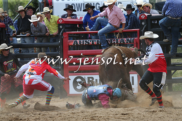 CoomaRodeo2015_1376
