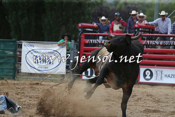 CoomaRodeo2015_1287
