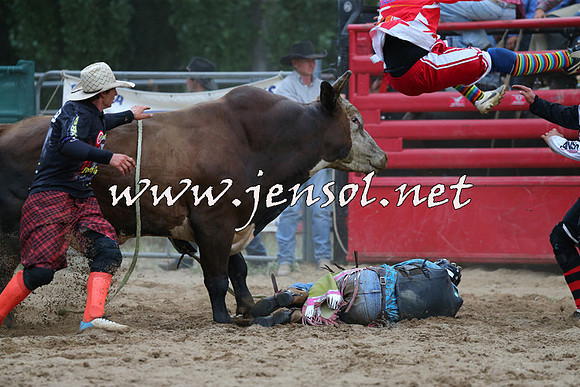 CoomaRodeo2015_2870