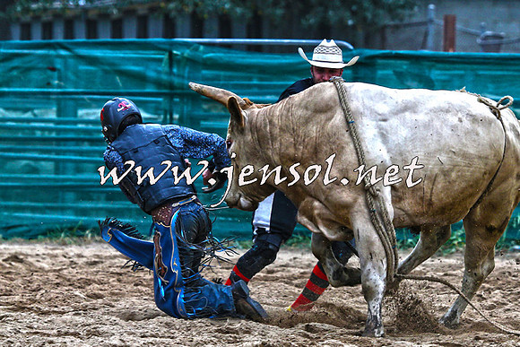CoomaRodeo2015_2826