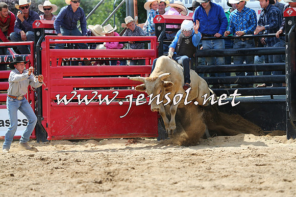CoomaRodeo2015_1452