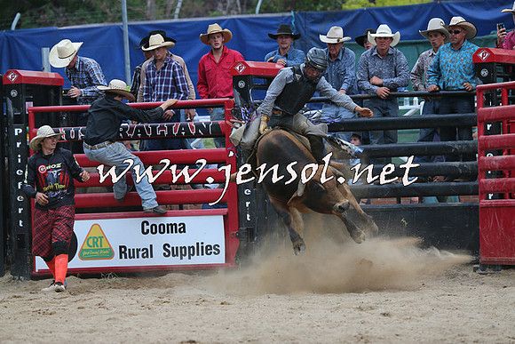 CoomaRodeo2015_2731